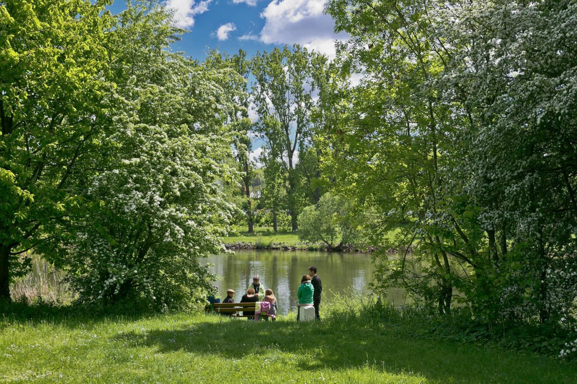 Knaus Campingpark Frickenhausen ฟริกเกนเฮาเซ่น อัม ไมน์ ภายนอก รูปภาพ