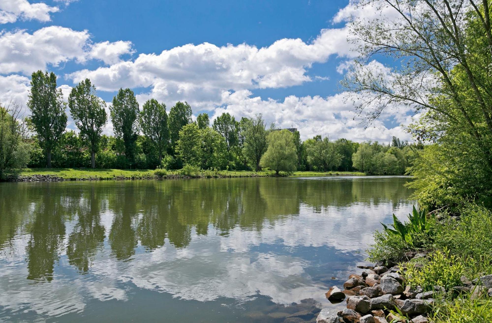 Knaus Campingpark Frickenhausen ฟริกเกนเฮาเซ่น อัม ไมน์ ภายนอก รูปภาพ